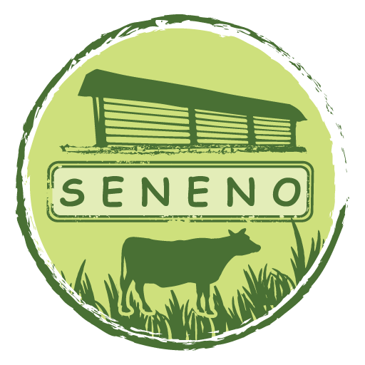 seneno_icon